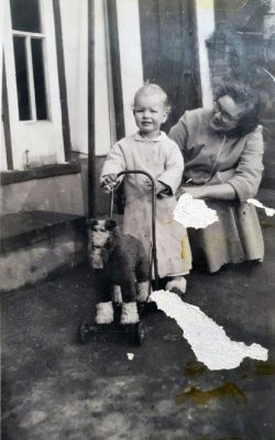 Toddler with a horse shaped stroller
