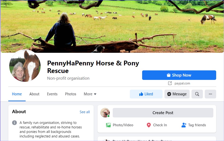 Horse Rescue - Penny Hapenny Horse and Pony Rescue link to facebook image